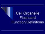 Cell Organelle Vocabulary Foldable