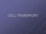 CELL TRANSPORT - Oncourse : Gateway : Home