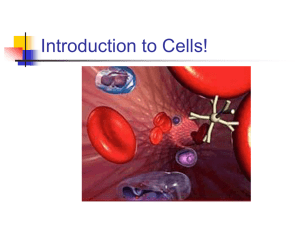 Introduction to Cells