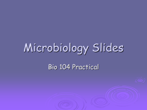 Microbiology Slides - Welcome to Cherokee High School