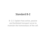 Standard B-2