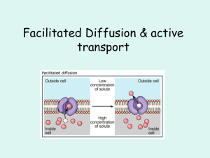 Facilitated Diffusion & active transport
