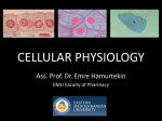 CELLULAR PHYSIOLOGY - Eastern Mediterranean University