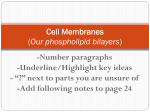Cell Membranes (Our phospholipid bilayers)