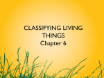 CLASSIFYING LIVING THINGS