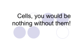 Cells, you would be nothing without them!