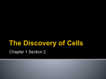 The Discovery of Cells