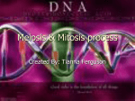 Meiosis & Mitosis process