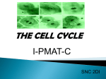 The Cell Cycle