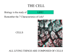 THE CELL/THE CITY - Westerville City Schools