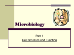 Microbiology