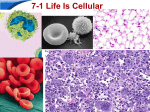 Cell PPT 1