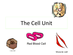 The Cell Unit