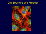 Cell Structures and Function