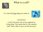 Cells & Microscope PowerPoint