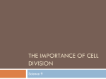 the_importance_of_cell_division