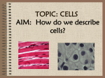 How do we describe cells?