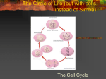 The Circle of Life (but with cells instead of Simba)