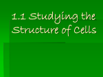 Plant and Animal Cell