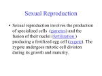 sexual reproduction.