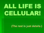 ALL LIFE IS CELLULAR!