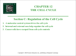 12C - Bio12.com