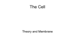 The Cell Theory and Membrane Cell Theory First recorded view by