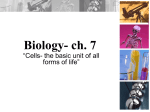 Biology- ch. 7