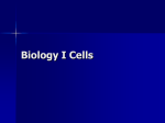 Biology I Cells