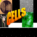 Cells ppt