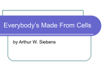 Everybody`s Made From Cells