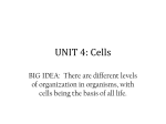 Cell Theory Timeline