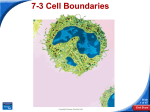 7-3 Cell Boundaries - River Dell Regional School District