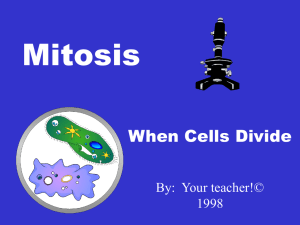 Mitosis