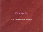 CHAPTER 5c