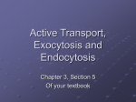 Active Transport, Exocytosis and Endocytosis