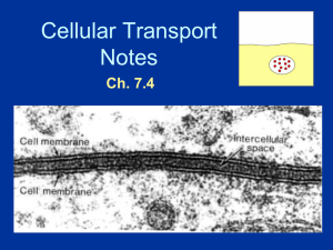 Cell_Transport_2014