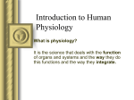 Introduction to Human Physiology
