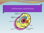 Endoplasmic Reticulum - Brandywine School District