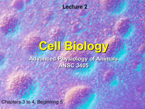 Cell Biology