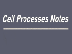 Cell Processes Notes - Mr. Coski`s Homepage