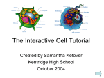 Cell-ebration Tutorial cell-ebration_tutorial