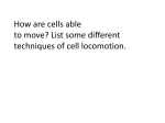How are cells able to move? List some different techniques of cell