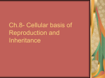 Ch.8- Cellular basis of Reproduction and Inheritance