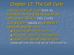 Chapter 12 powerpoint