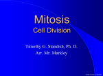 Mitosis Notes