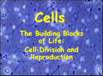 Cells - Tuckahoe Common School District