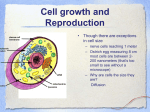 Cell growth and Reproduction