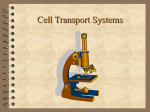 Cell Transport Systems