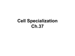 Cell Specialization Notes